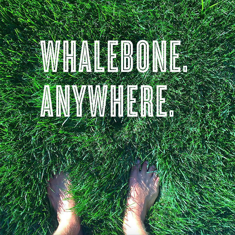 WB-newslettersignup
