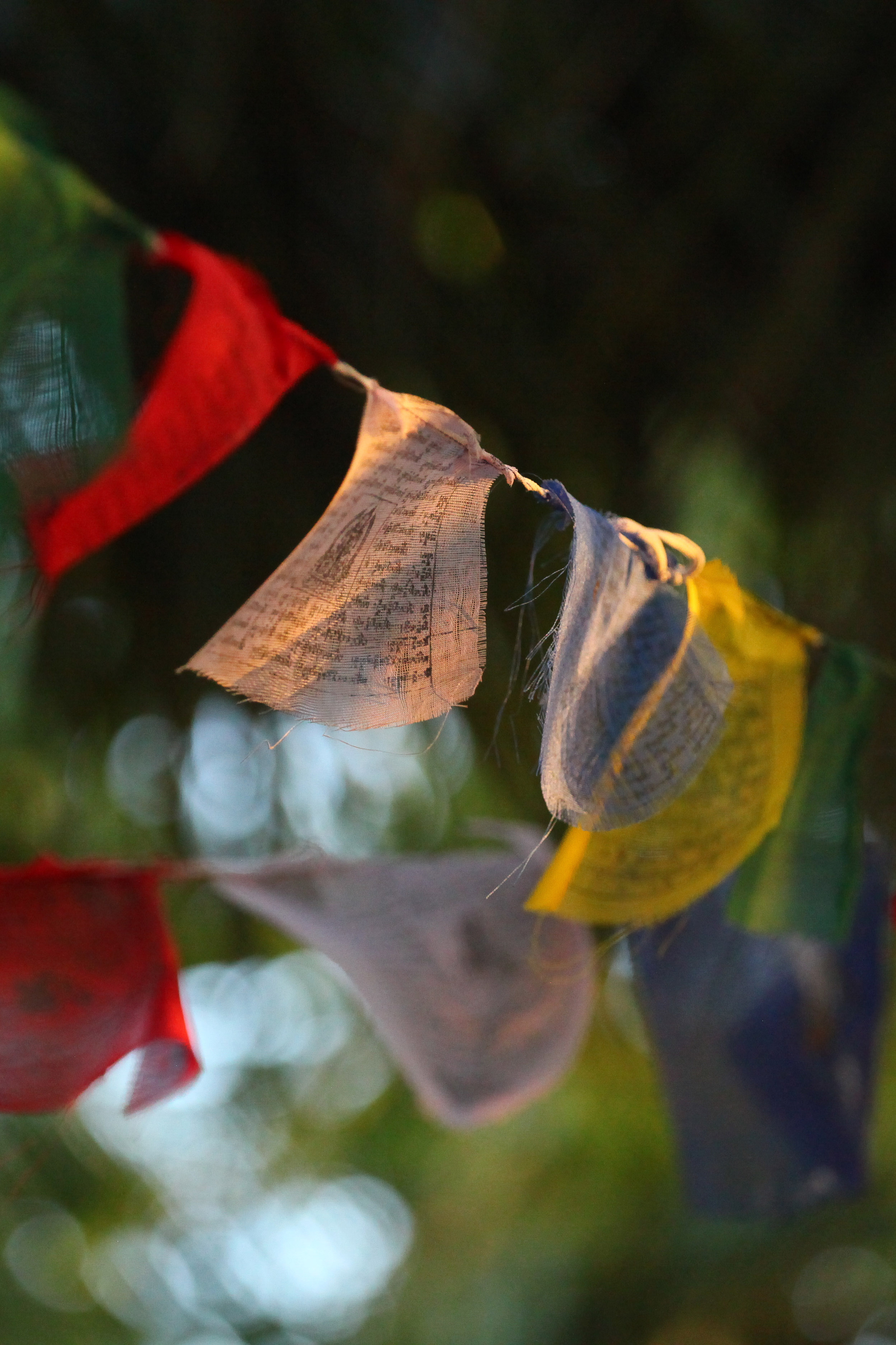 Prayer flags dancing in the wind between the palm trees. Photo: Charlie Malmqvist.