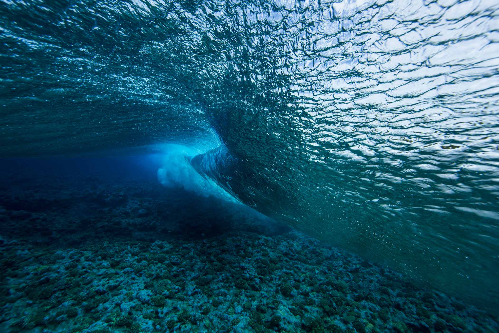 Underwater somewhere deep in the South Pacific. Photo: Glaser.