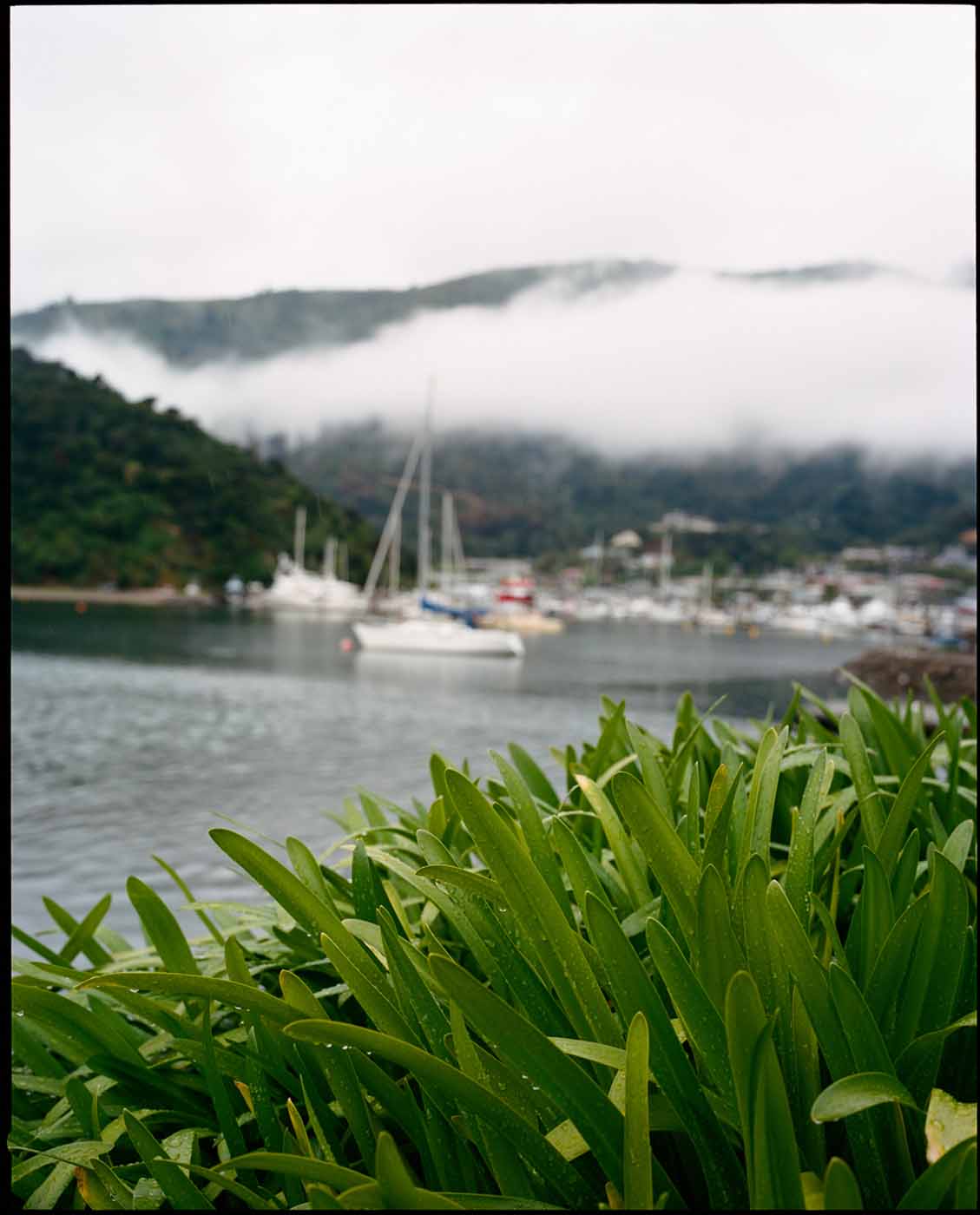 Harbor | New Zealand | Photo: Grant Monahan