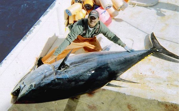 Large_bluefin_tuna_on_deck