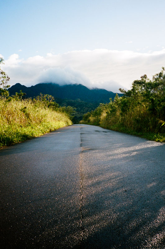 Road to The Land. Photo: Grant Monahan