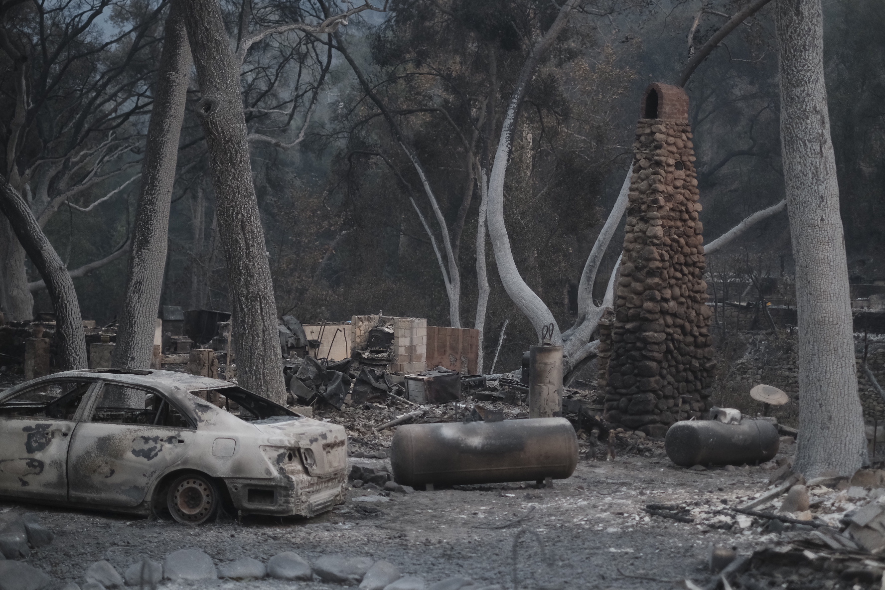 After the Thomas Fire. Photo: Dylan Gordon