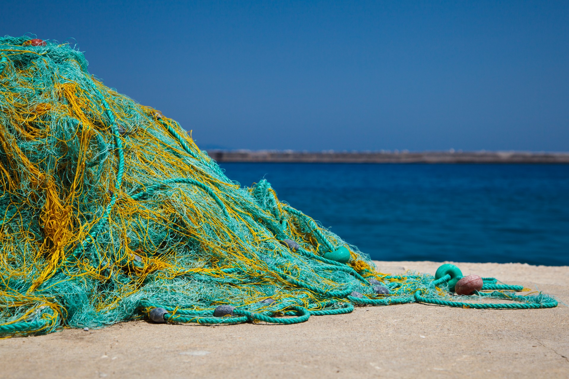 fishing-nets-and-sea-14278025510sg » Whalebone