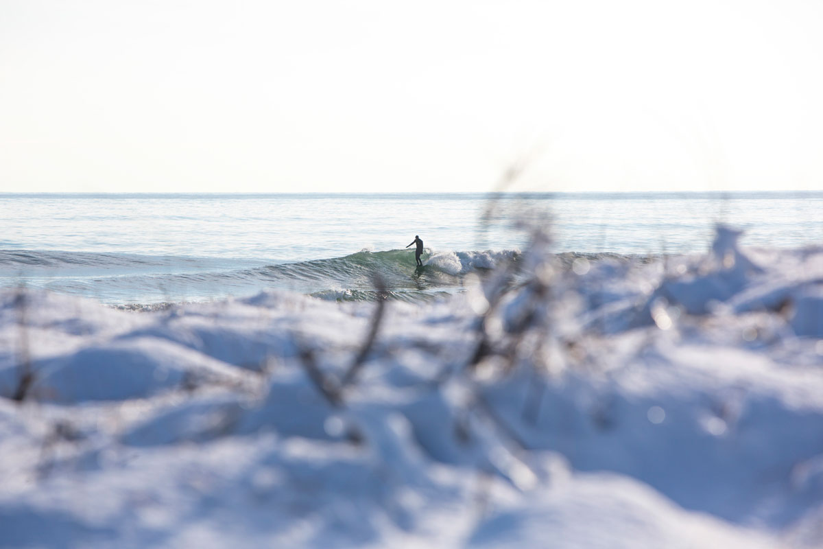 Mikey DeTemple perched and looking casual through a winter snow storm here in Montauk. 