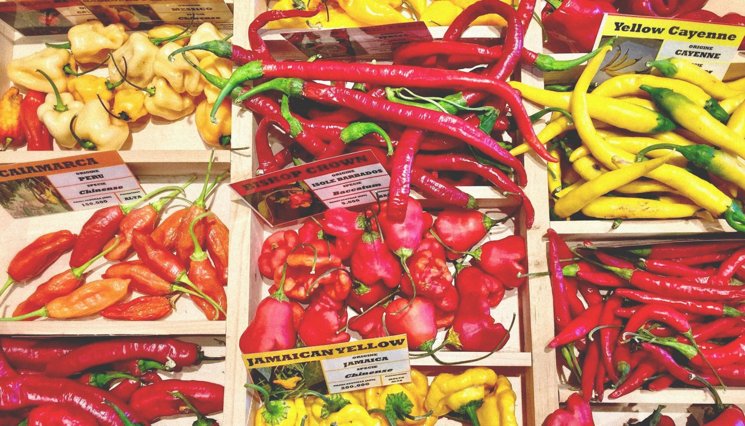 The History of Hot Sauce » Whalebone