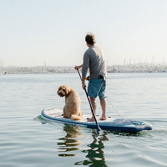 ISLE SUP boards with dog