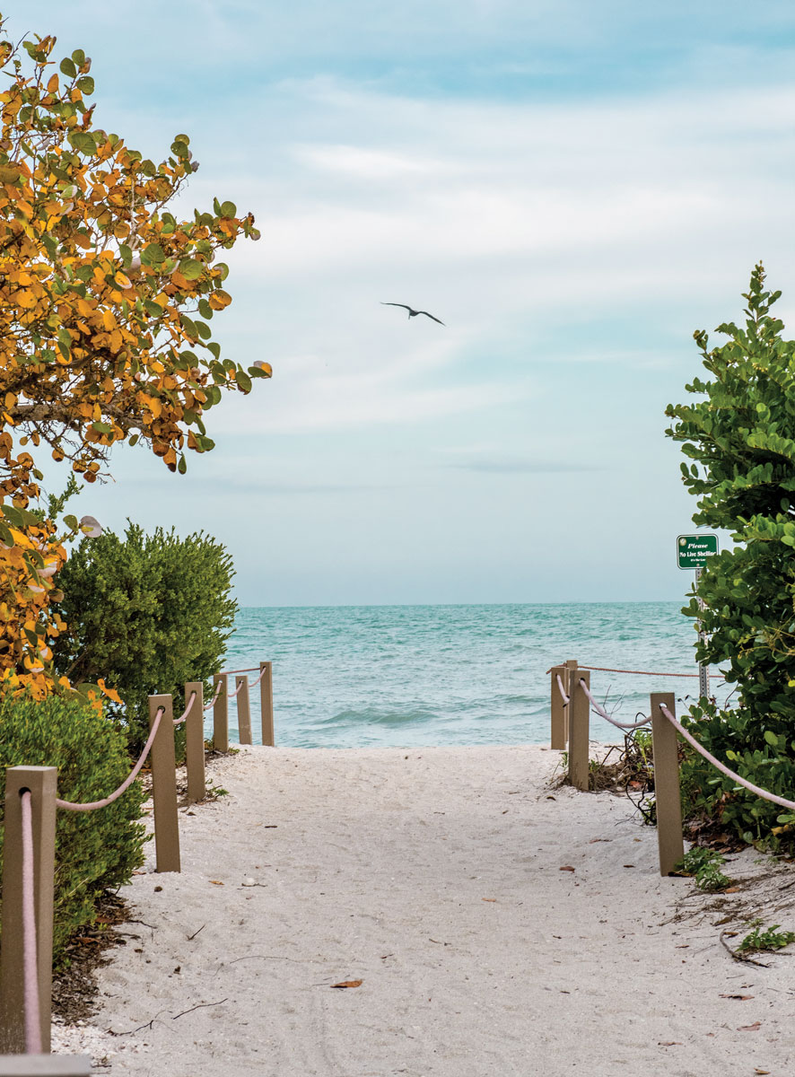 A beach access in Sanibel, Florida that opens onto the water. A seagull flies overhead.