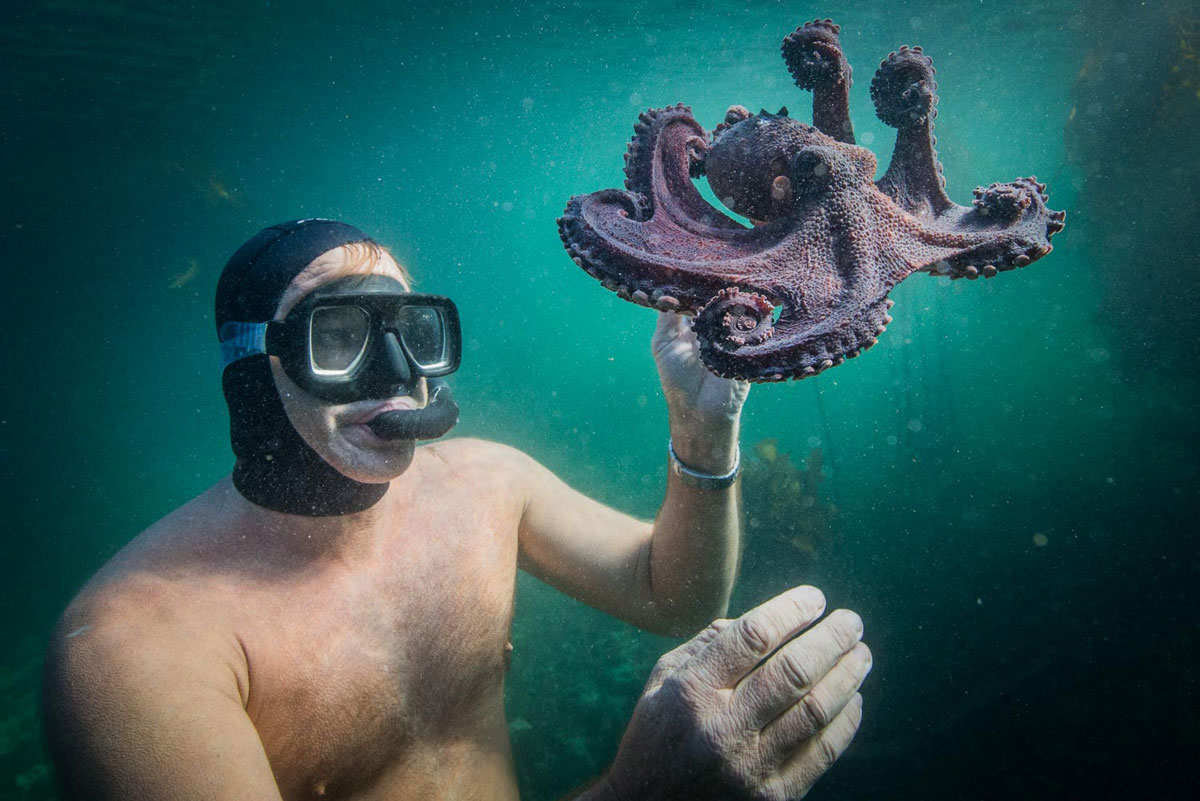 Craig Foster diving with octopus 