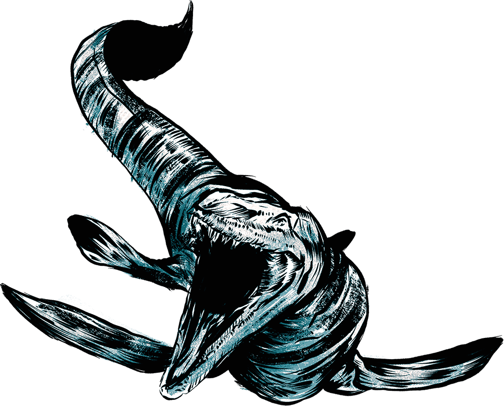 Tylosaurus mosasaurus illustrated by Zack Causey as part of the Sea Monster of the Midwest for Whalebone Magazine