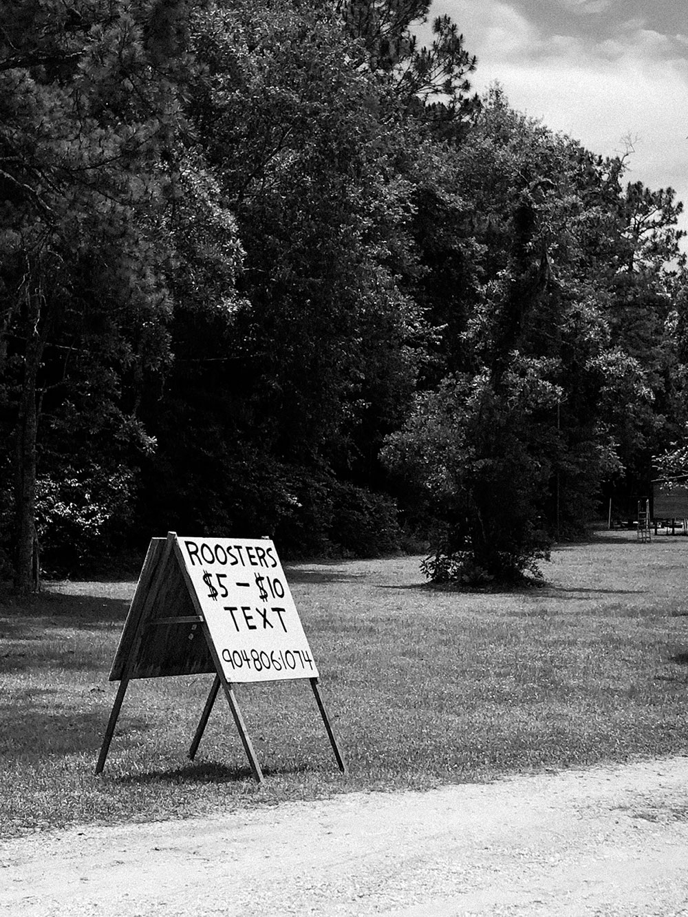 black and white photograph by Gunner Hughes of a sale sign that reads rooster $5 to $10 and a number to text