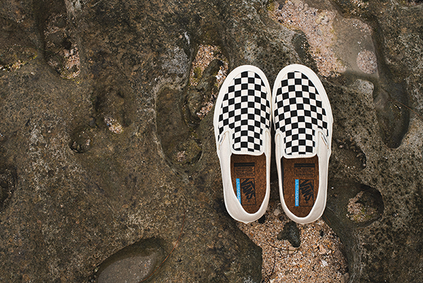 Vans Eco Theory Collection