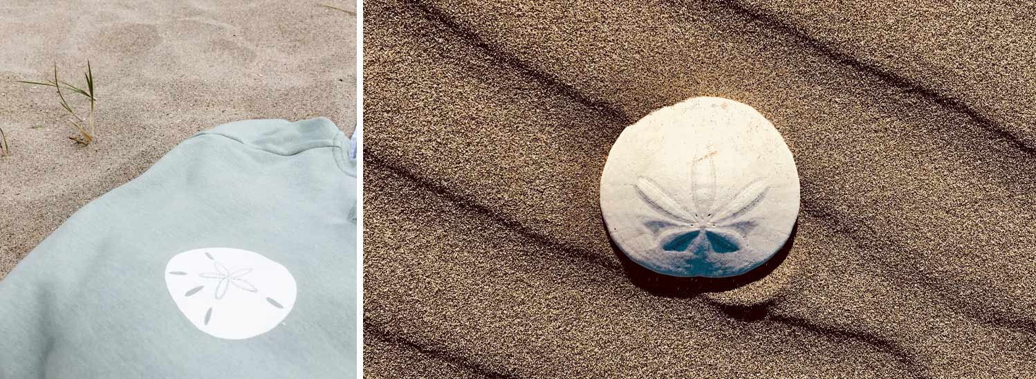 Cinder + Salt eco friendly ocean designs and clothing featuring a sanddollar