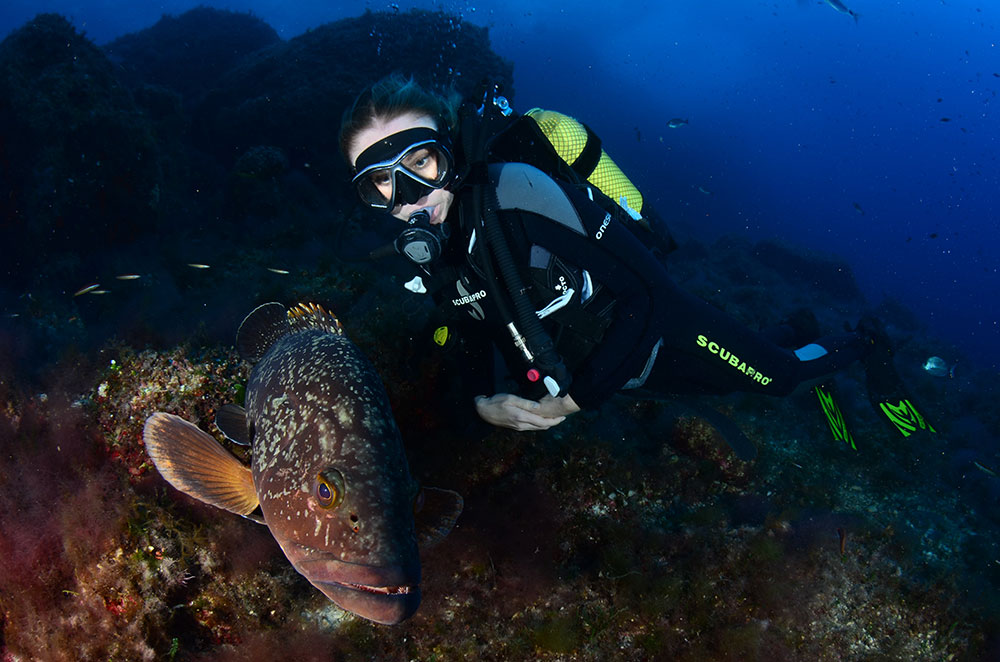 A female diver comes close to a large speckled grouper.