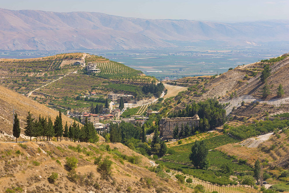 Bekaa Valley Vineyard, Lebanon