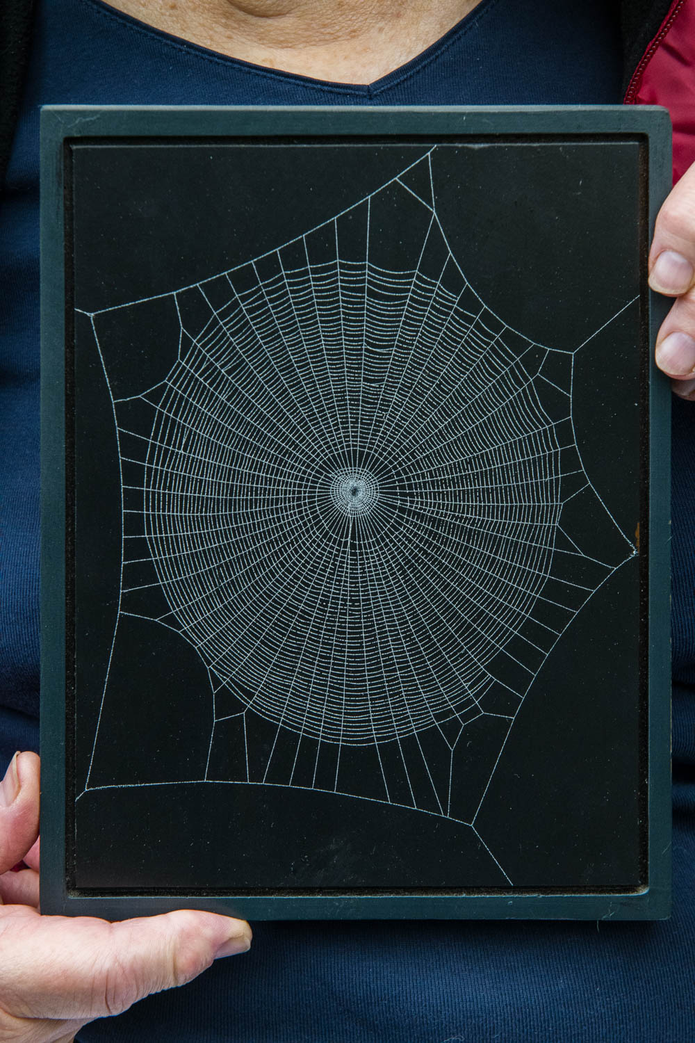 Spider Web art from the Spider Web Museum in Williamstown, VT, taken by Accidentally Wes Anderson