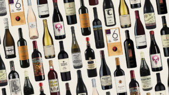 Selection of different wines