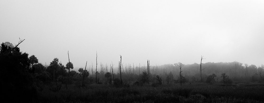 Black and white photo taken by Gunner Hughes of Foggy Georgia forest