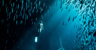 Image of Kimi Werner freediving, taken by Perrin James