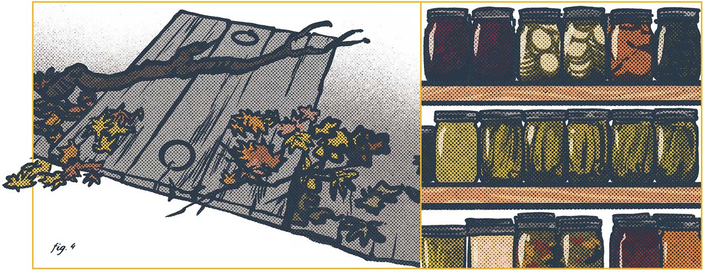 Illustration by Brittany Norris of a cellar door covered by leaves and shelves of glass jars full of canned items