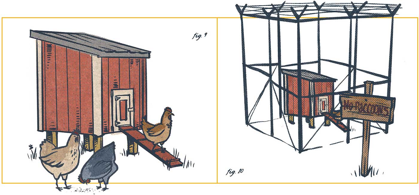 Illustration by Brittany Norris of a red hen coop with three hens and then that same coop but within protective fencing and a sign that reads "no raccoons"