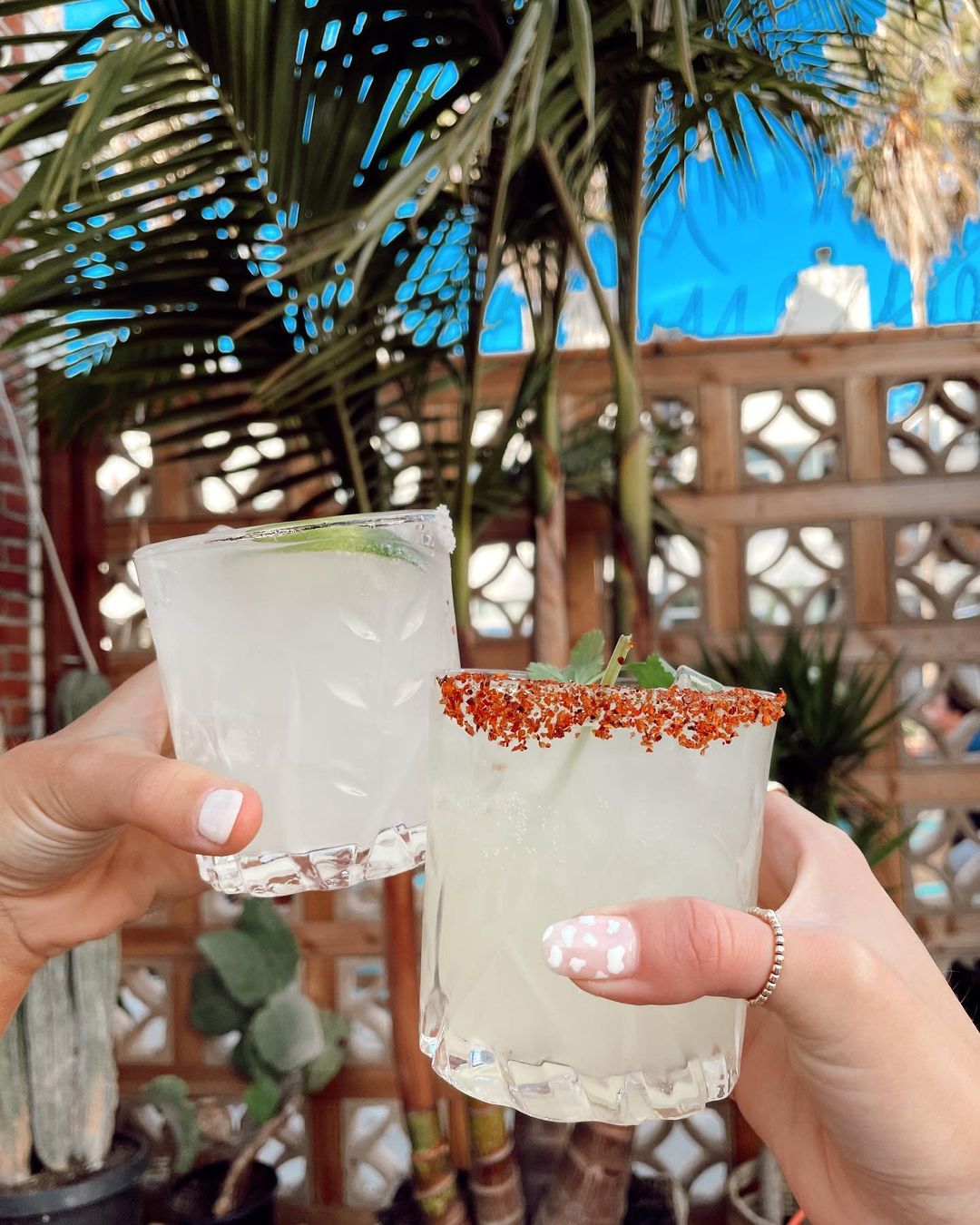 Image of spicy margaritas taken by fashion influencer Olivia Bourque