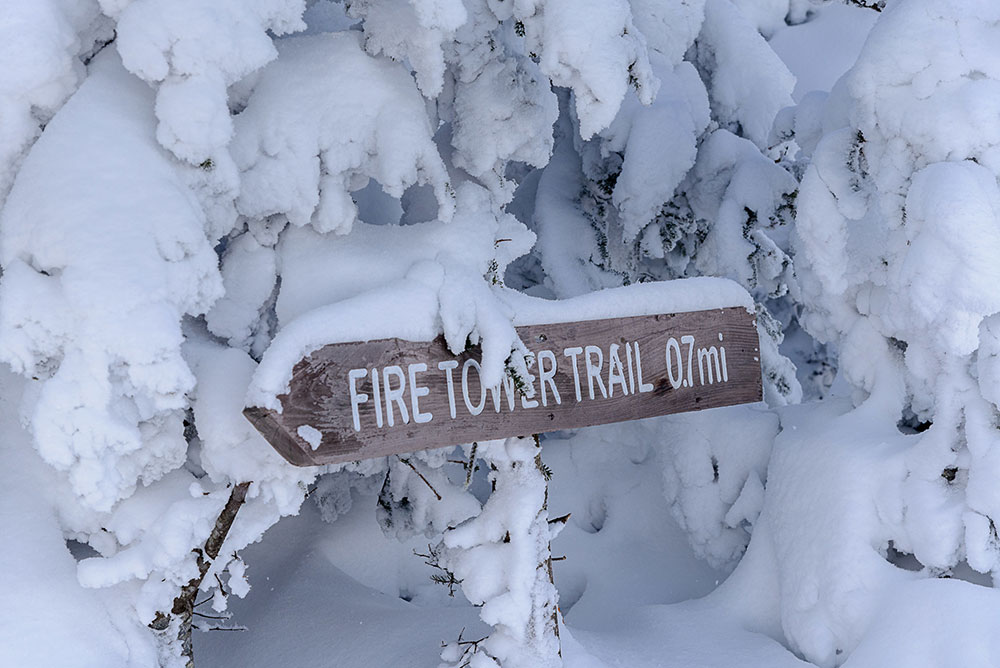 Photo of snow covered trail sign leading to Fire Tower Trail, Stratton, VT