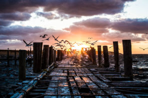 Photo of seagulls flying on dock in Montauk at sunrise taken by James Katsipis