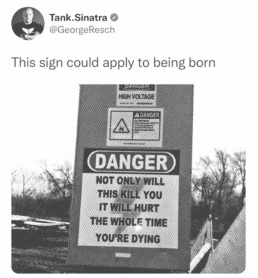 Tank Sinatra Meme about being born