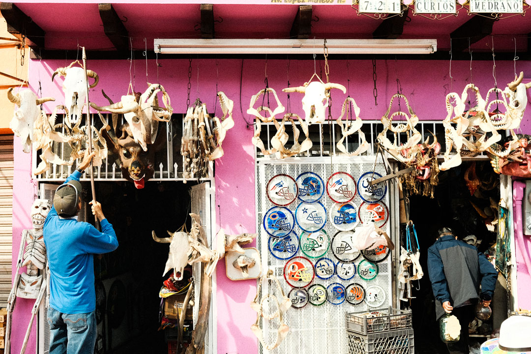 Photograph of a storefront with animal skulls hanging outside