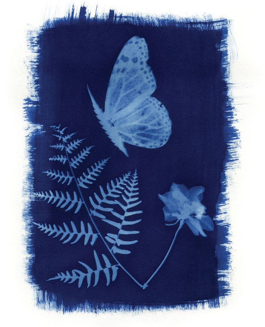 Cyanotype print of a butterfly, leaf, and flower on canvas material