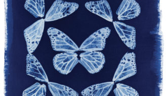 Cyanotype print of butterflies placed in a symmetrical kaleidoscope pattern printed on canvas material