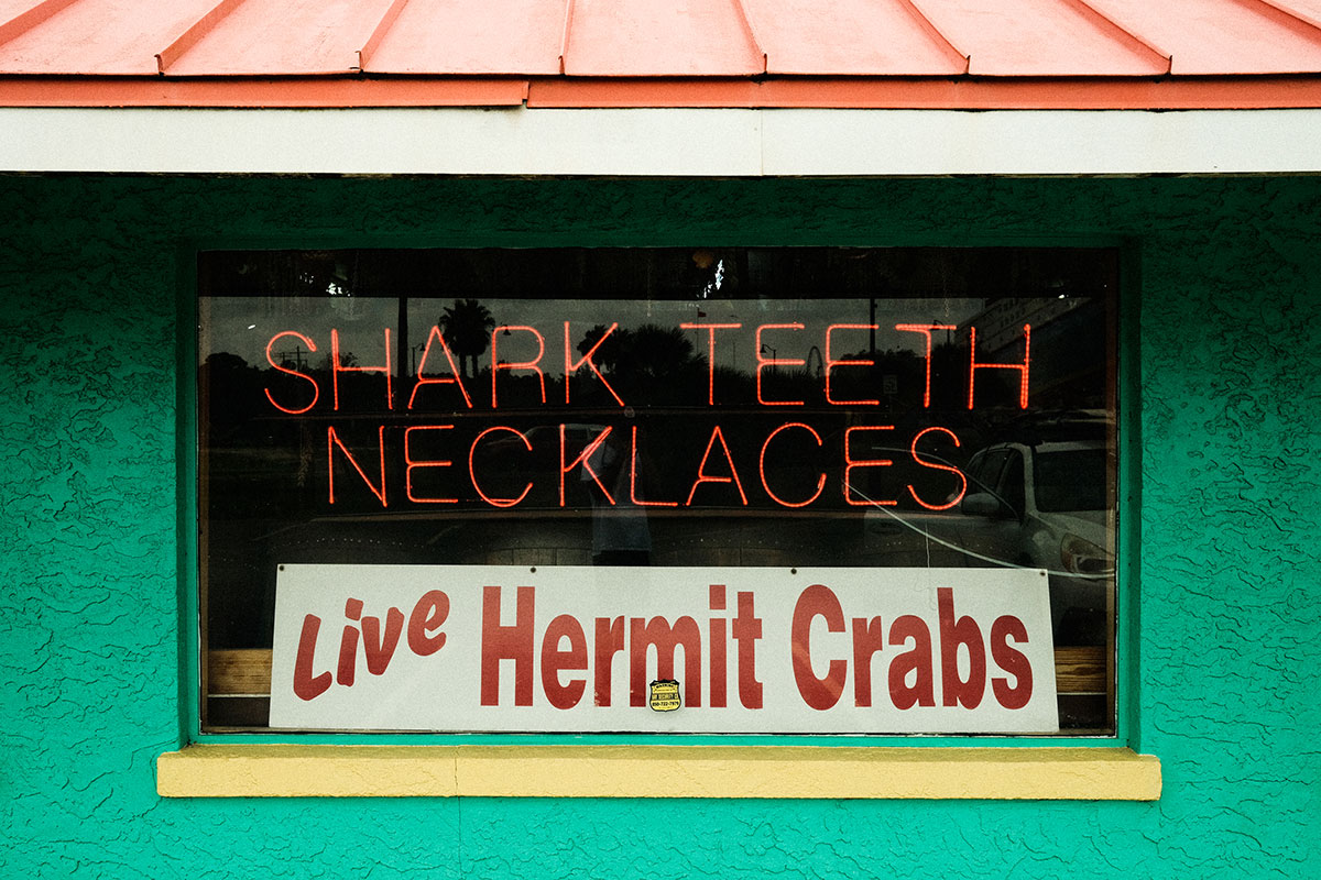 sharktooth necklace and live hermit crab store signn
