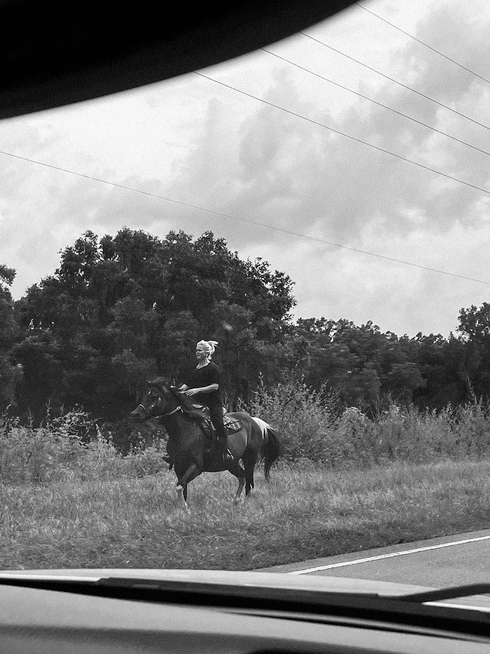 woman riding horse on side of highway