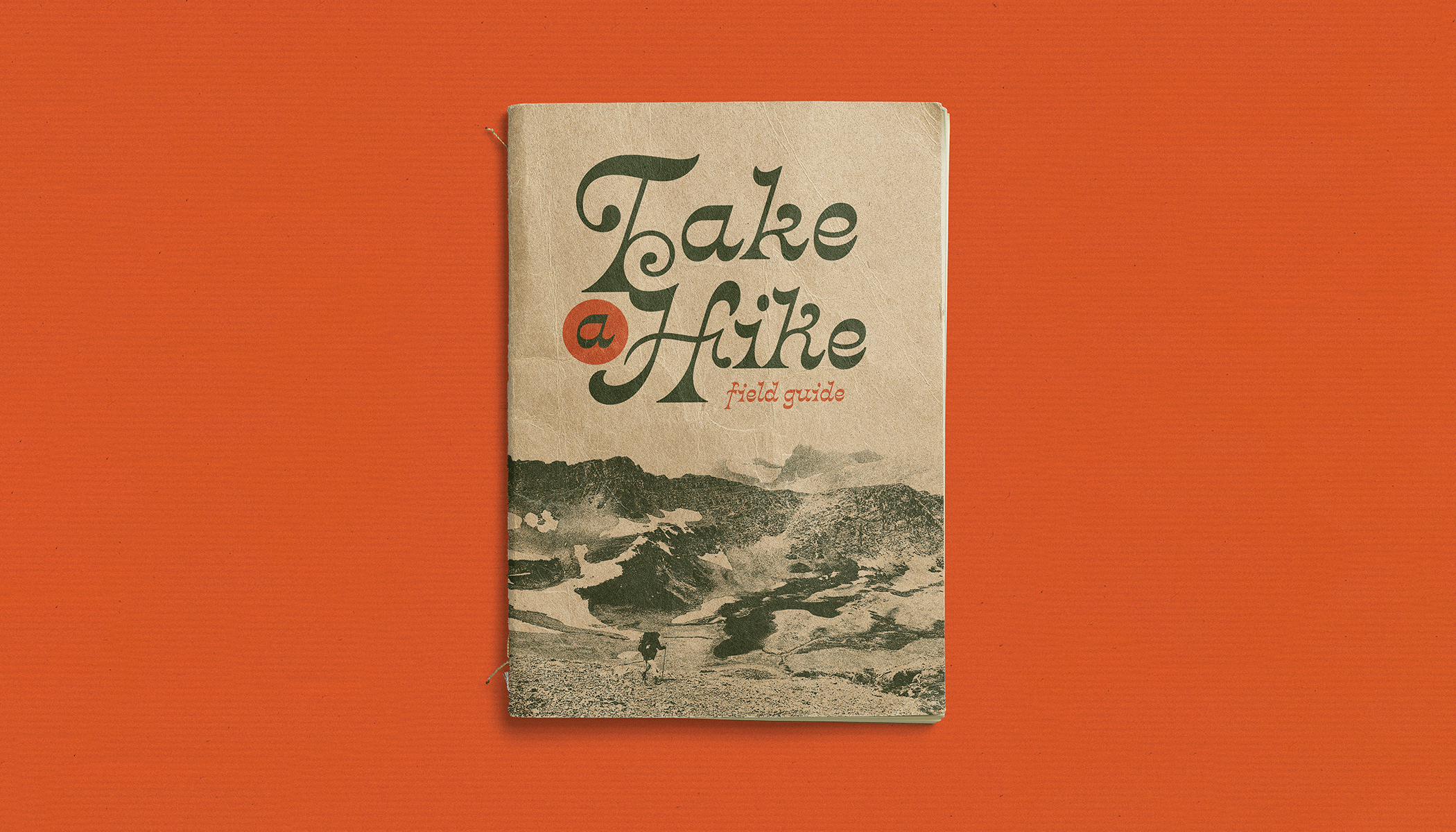 Travel journal with "Take a Hike Field Guide" written on it and a photo of a hiker walking in front of a mountain range.