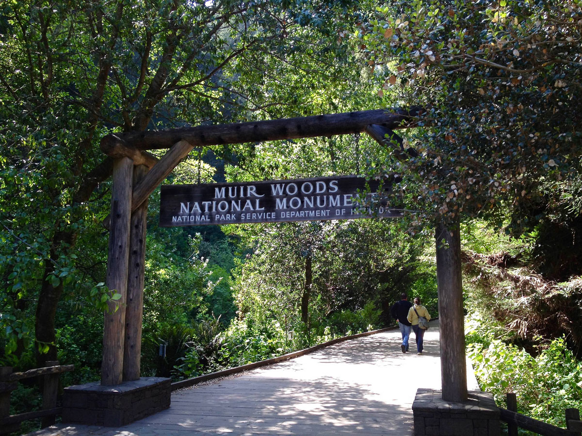 entrance to Muir woods national monument sign over a wooden path.