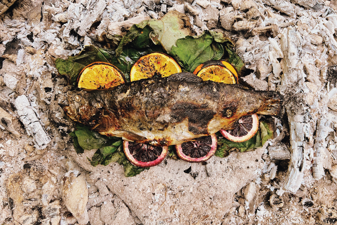 A whole, fire-roasted, trout fish laying on a large green leaf and a bed of sliced oranges. All laying on the ground surrounded by dirt and sticks.