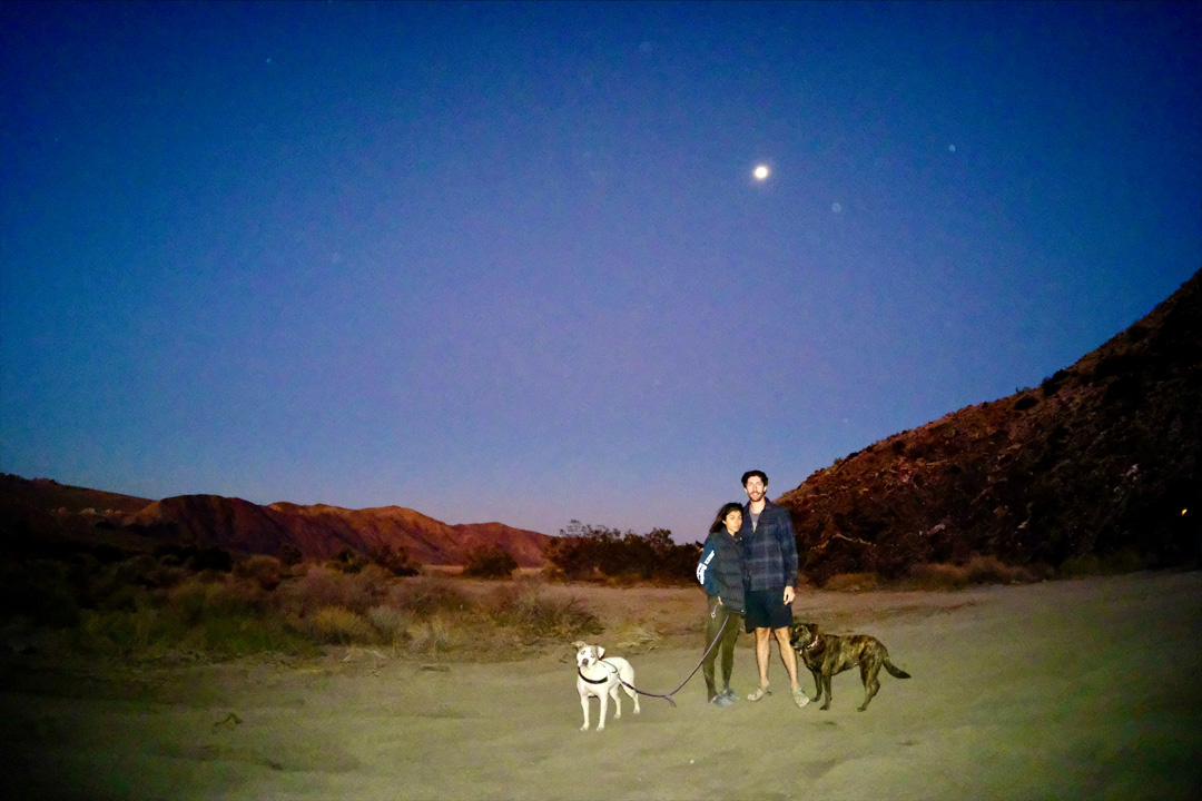 A woman and a man smiling for a picture in Joshua Tree National Park with two dogs. The moon is out and the sky is a dark blue, in the background is a mountain range and small trees.