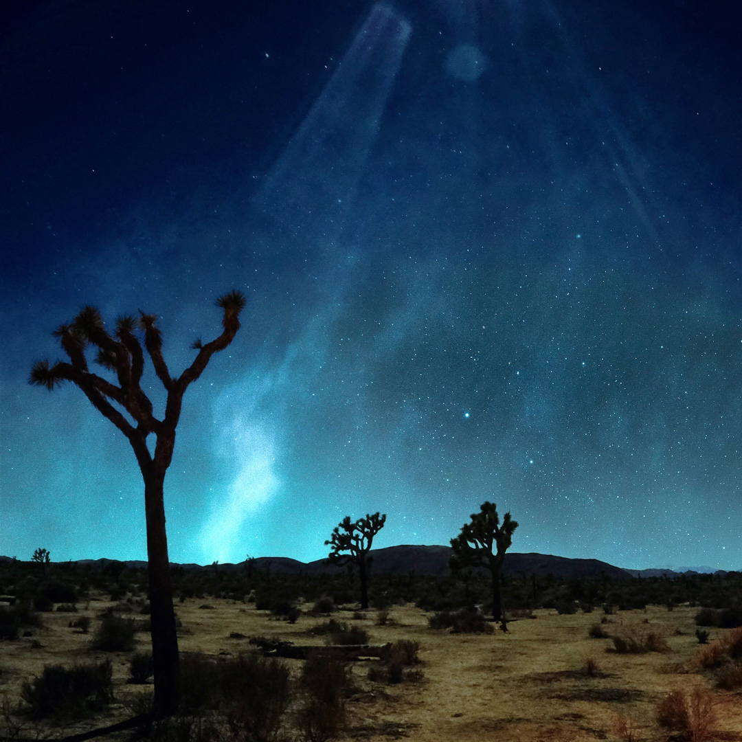 Joshua Tree National Park at night and the sky is a neon blue full of twinkling stars. The desert has a large mountain range and is full of shrubs and joshua trees.
