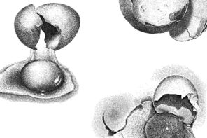 Three black and white drawings of eggs created using a stippling dot pattern instead of lines. An aerial view of an empty egg shell half is in the upper right corner. An egg being cracked in half with the egg yolk and whites oozing out of the shell is in the left center. An aerial view of an egg yolk surrounded by egg whites with half of an egg shell sitting on top is in the bottom right corner.