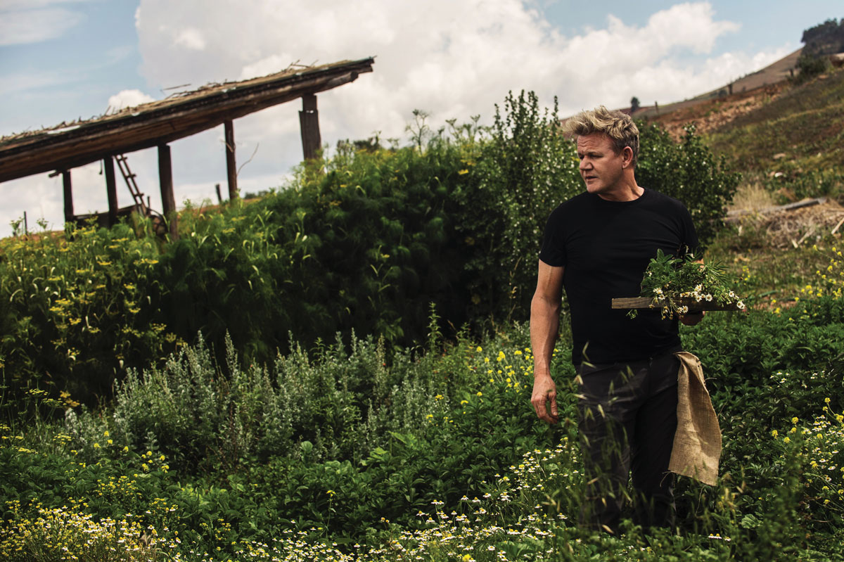 Chef Gordon Ramsay standing in a field holding foraged flowers while looking out into the distance.