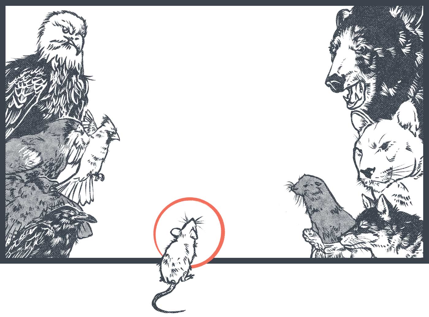 On either side of the illustration are a variety of animals. On the left is an eagle, a hawk, a cardinal, a raven, and a blue jay. They are facing a bear, a cougar, an otter, a fox and a tortoise on the left side. In the middle is a little mouse.