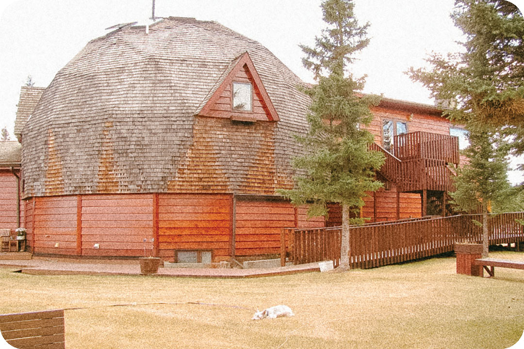 A large dome house with a rectangular addition attached at it's side. The house has a large wooden staircase leading up to the second floor and a long wooden ramp lines the ground around the house. A tiny white dog lays in the grass outside surrounded by skinny trees.
