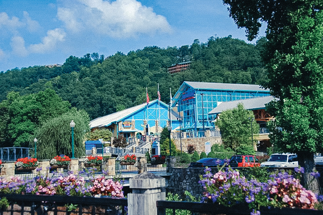Gatlinburg aquarium. The aquarium is covered in glass windows and sits in front of a small mountain. There are cars parked all out front and a row of purple and pink flowers out front.