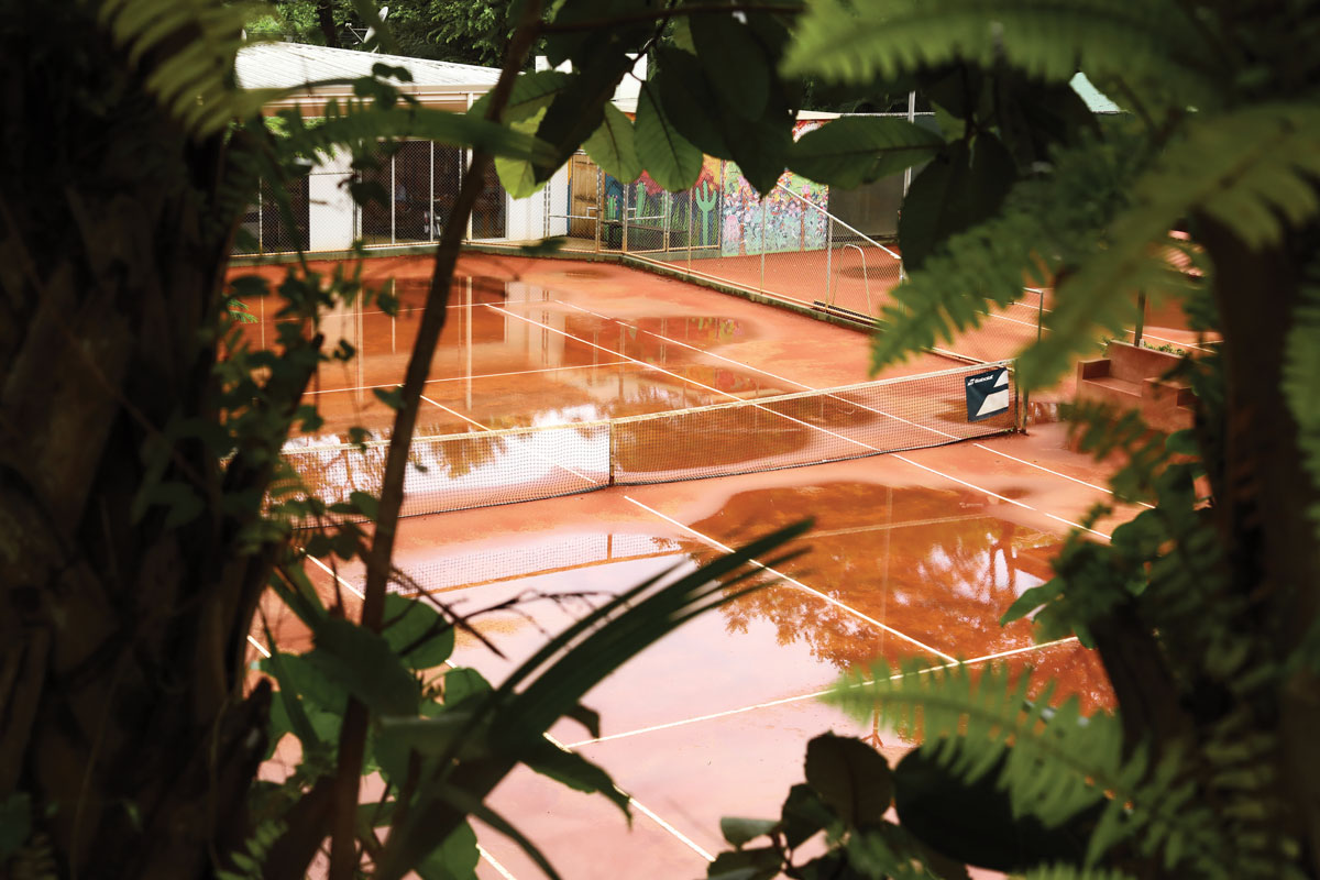 Rainy tennis court through jungle leaves.