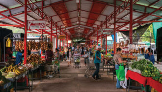 Under the roof of the farmers market. People walking towards the camera with shopping carts next to fruit stands and other produce stands.