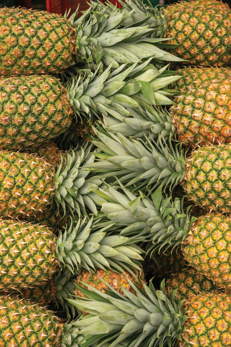 Pineapples stacked in rows