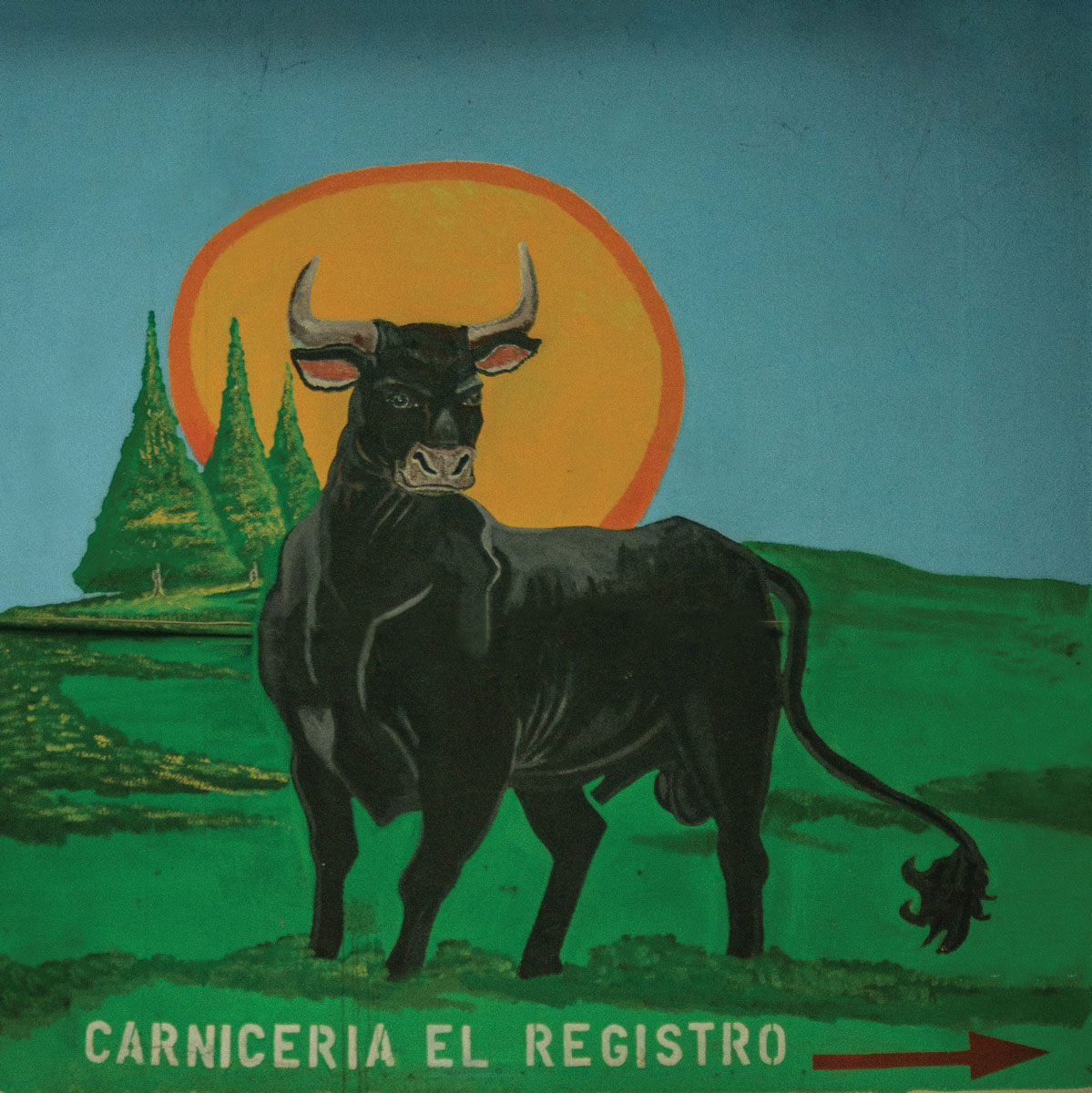 Bull Fighting sign "Carniceria el Registro"