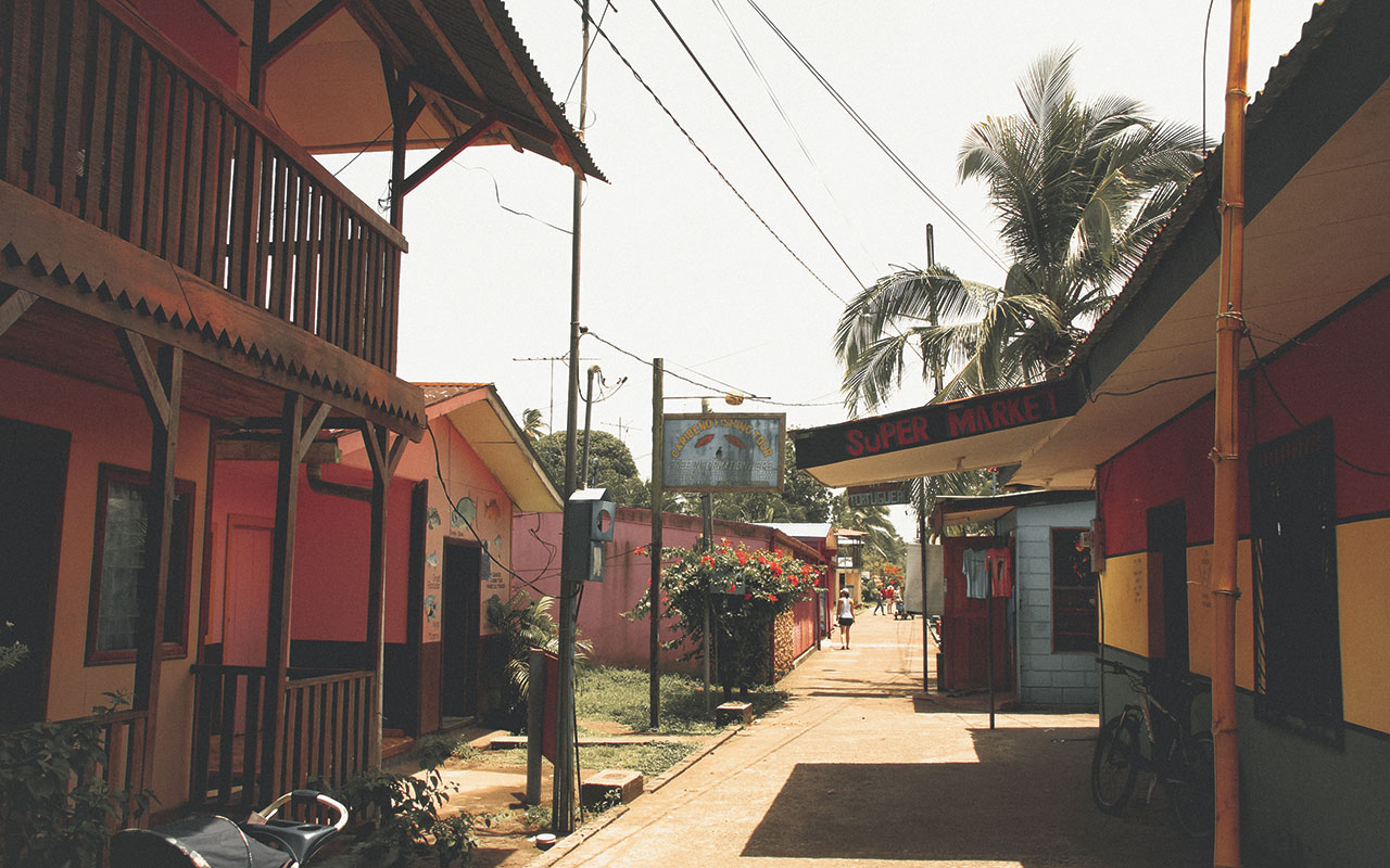 Photo of a brick street in Costa Rica lined with colorful houses wooden, handmade business signs hanging from large bamboo poles like billboards, red flowers and palm trees.