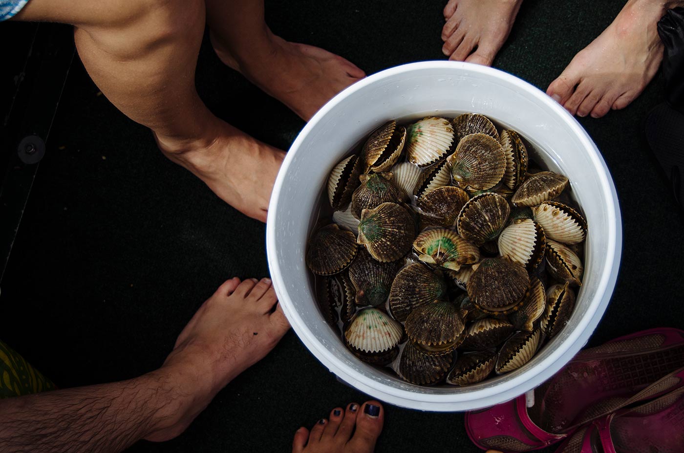 A day along the Gulf Coast with Rabbit Hole, sitting in a boat. Looking down from overhead, a white bucket full of sea water and scallops sits against a dark carpet. Several pairs of feet encircle the bucket.